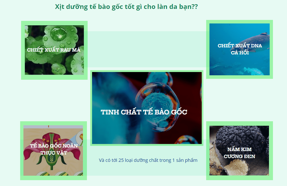 Xịt dưỡng Mioskin từ tế bào gốc Chính Hãng 17 Xịt dưỡng Mioskin từ tế bào gốc Chính Hãng 8