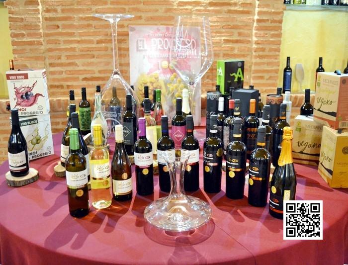 Rượu vang đỏ Tây Ban Nha OJOS DEL GUADIANA CRIANZA 2020